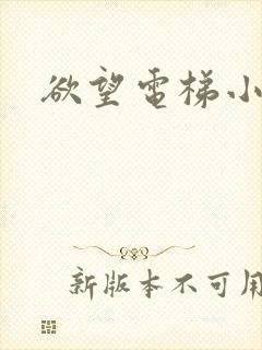 欲望电梯小说封面