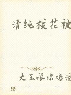 清纯校花被c封面