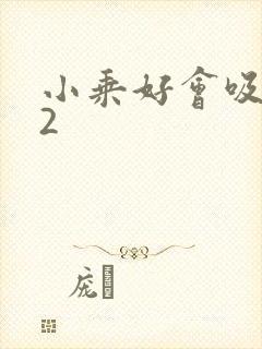 小乘好会吸1V2封面