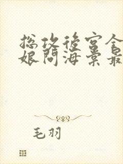 总攻后宫全是伪娘问海棠最新章节更