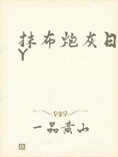 抹布炮灰日记BY