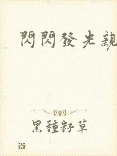 闪闪发光亲情会