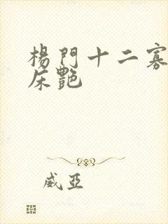杨门十二寡妇肉床艳