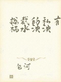 总裁的私有宝贝祸水泱泱