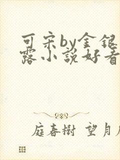 可宋by金银花露小说好看吗