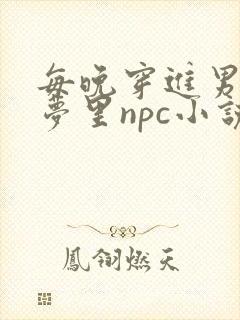 每晚穿进男神的梦里npc小说封面