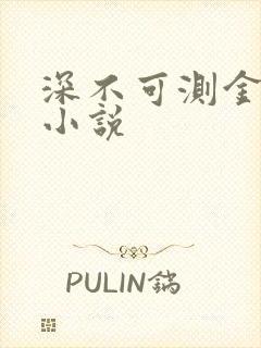 深不可测金银花小说