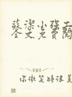 苏洁小强工地情全文免费阅读封面