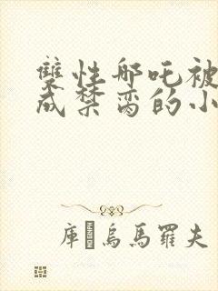 双性哪吒被调教成禁脔的小说封面