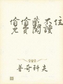 偷偷藏不住小说免费阅读