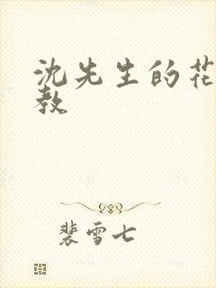 沈先生的花式管教