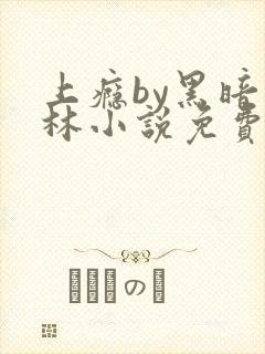 上瘾by黑暗森林小说免费封面