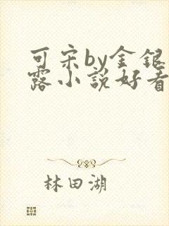 可宋by金银花露小说好看吗