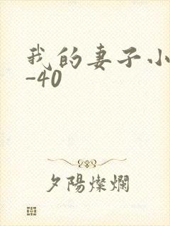我的妻子小谨1-40