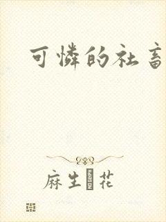 可怜的社畜小说