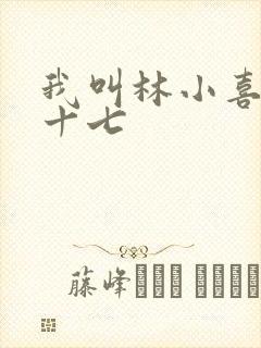 我叫林小喜今年十七