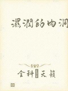 湿润的肉洞封面