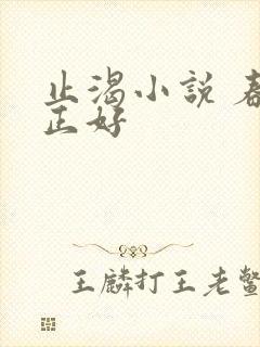 止渴小说 春光正好