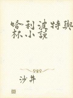 哈利波特与火焰杯小说