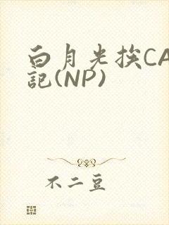 白月光挨CAO记(NP)
