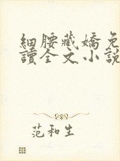 细腰藏娇免费阅读全文小说苏珞浅