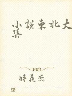 小说东北大炕全集