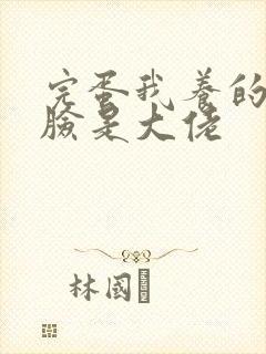 完蛋我养的小白脸是大佬