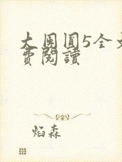 大团圆5全文免费阅读封面