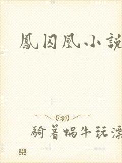 凤囚凰小说封面