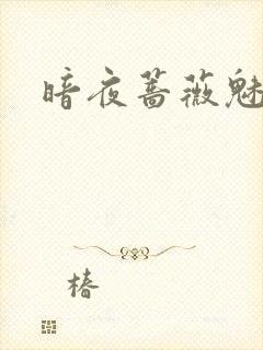 暗夜蔷薇魅封面