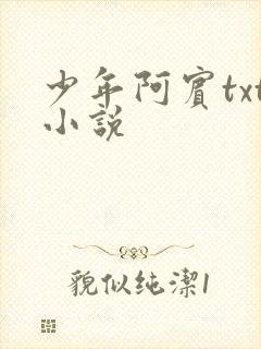 少年阿宾txt小说