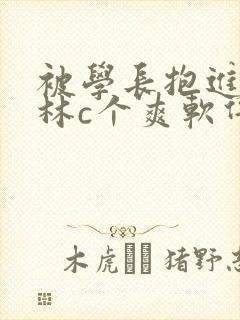 被学长抱进小树林c个爽软件封面