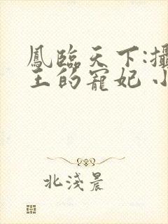 凤临天下:摄政王的宠妃 小说