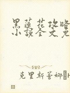 黑莲花攻略手册小说全文免费阅读笔趣阁封面