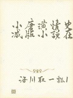 小唐璜情史无删减版小说在线阅读