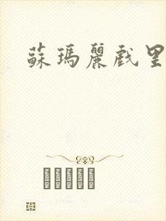 苏玛丽戏里戏外封面