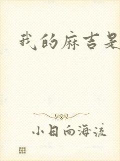 我的麻吉是猴子封面