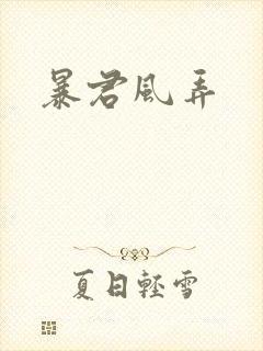 暴君风弄封面