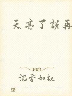 天亮了说再见封面