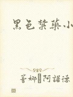 黑色禁药小说封面