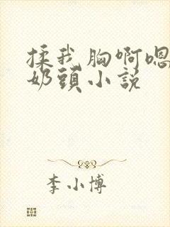 揉我胸啊嗯摸湿奶头小说