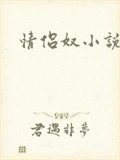 情侣奴小说封面