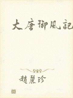 大唐御风记封面