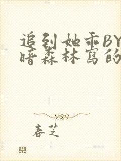 追到她乖BY黑暗森林写的小说