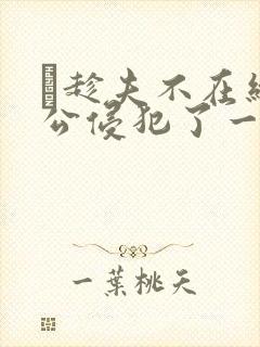 巜趁夫不在给给公侵犯了一天