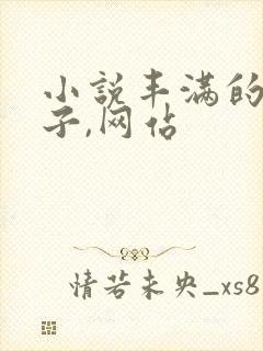 小说丰满的大奶子,网站