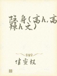 隐身(高h,高辣h文)封面