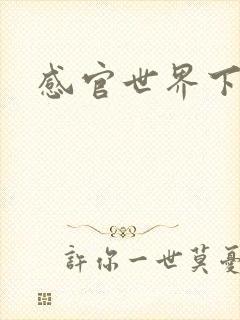感官世界下载