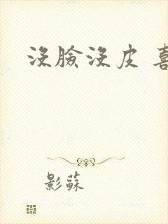 没脸没皮 喜了封面