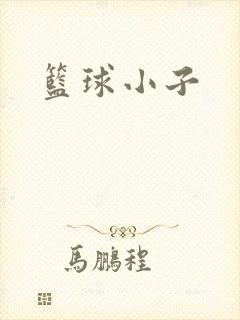 篮球小子